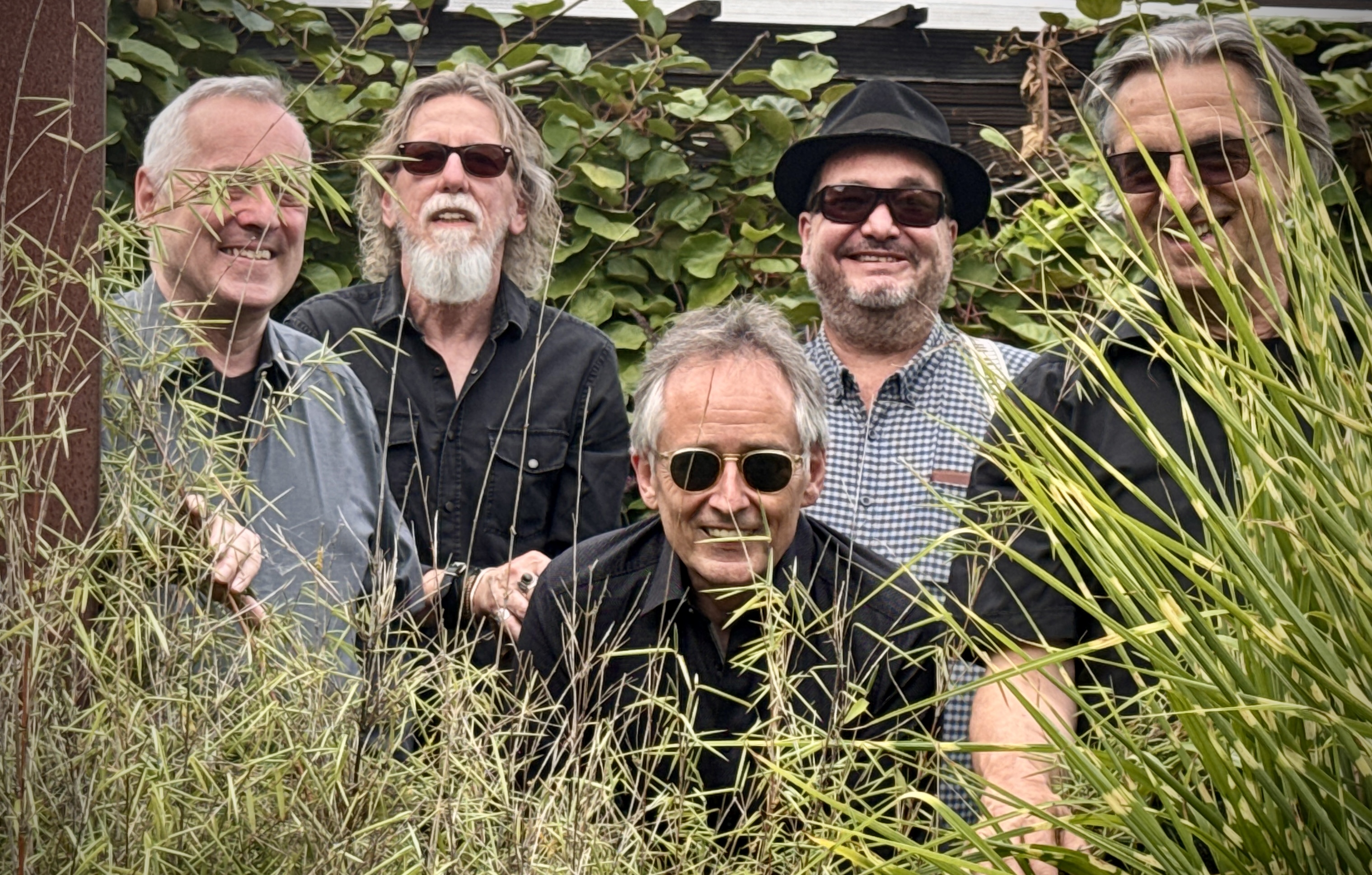 Bandfoto